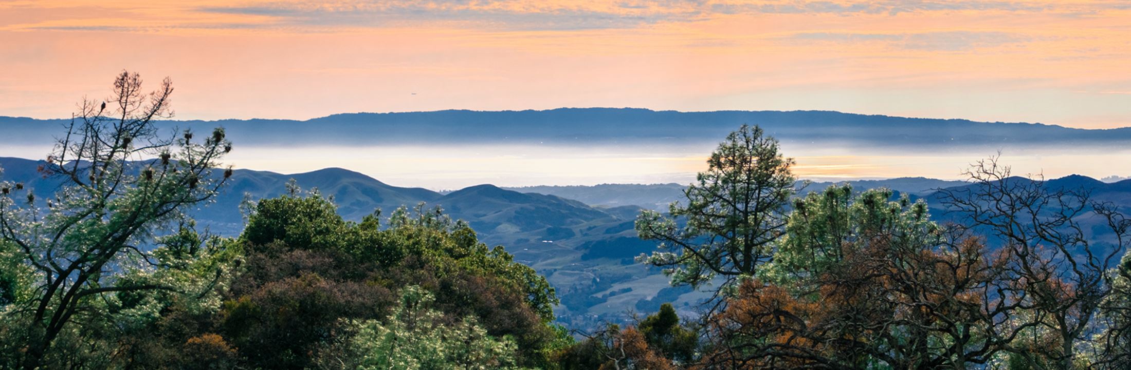 Contra Costa County, Office of the Auditor-Controller is actively seeking to fill one vacant Division Manager position. Auditor-Controller Division Managers are responsible for planning, organizing, and directing the operations of a multi-function division. The primary responsibility of Division Managers is to provide policy direction on fiscal, accounting, auditing, and financial record-keeping issues to staff and other County departments.